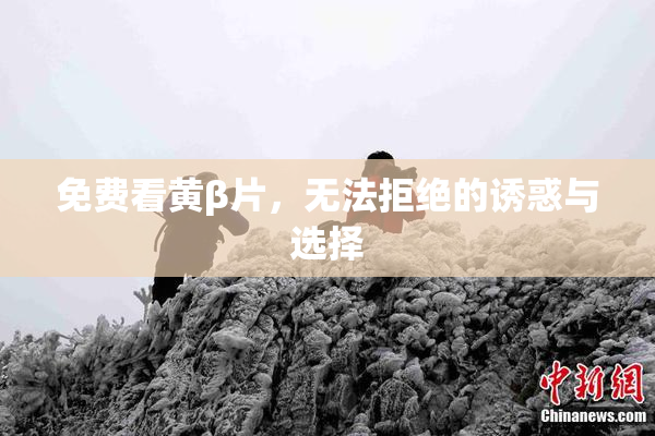 免费看黄β片，无法拒绝的诱惑与选择