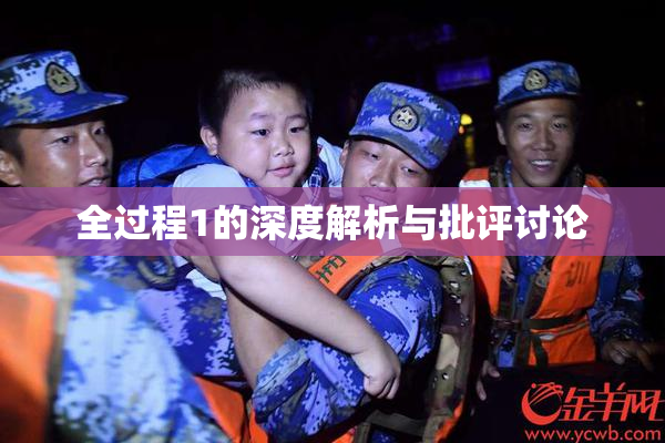 全过程1的深度解析与批评讨论