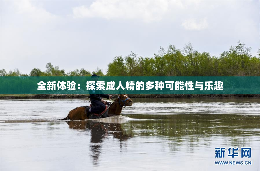 全新体验：探索成人精的多种可能性与乐趣