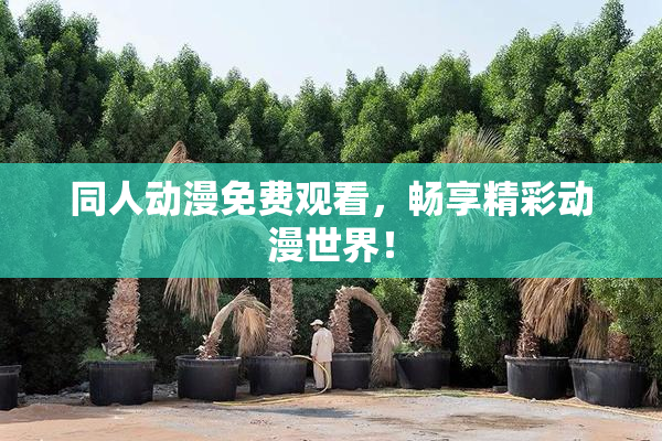 同人动漫免费观看，畅享精彩动漫世界！