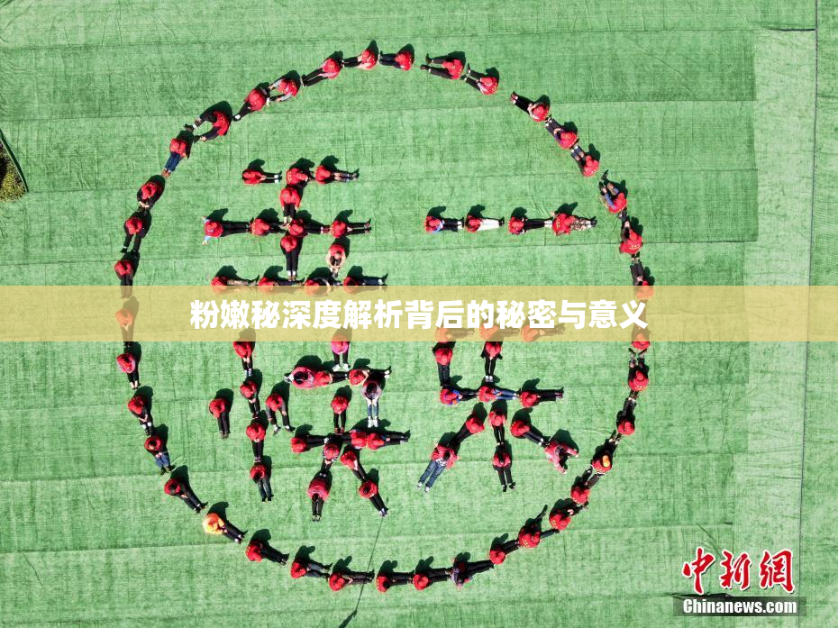 粉嫩秘深度解析背后的秘密与意义