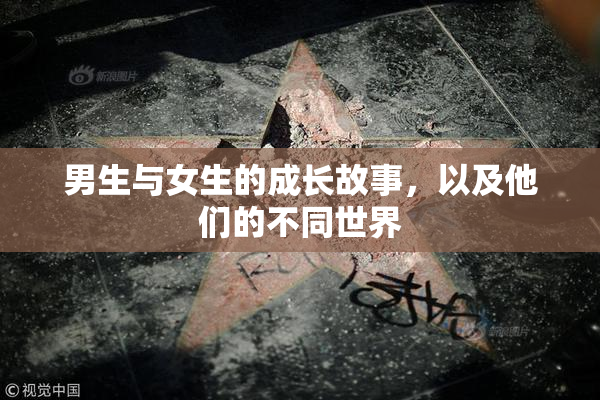 男生与女生的成长故事，以及他们的不同世界