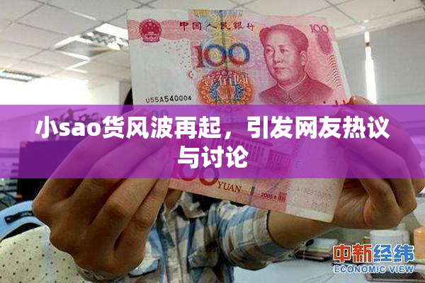 小sao货风波再起，引发网友热议与讨论