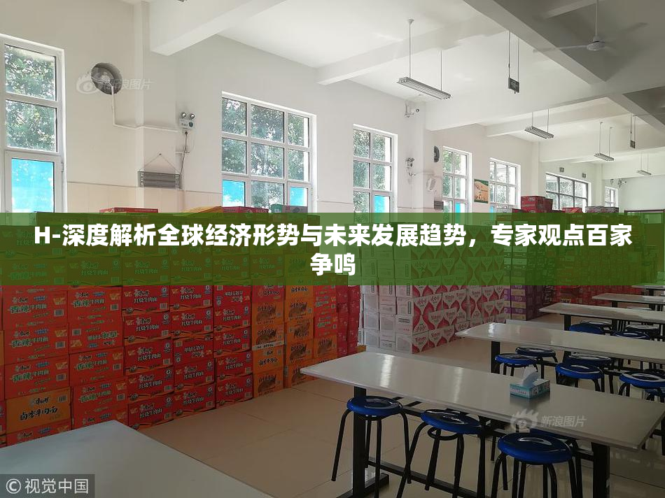H-深度解析全球经济形势与未来发展趋势，专家观点百家争鸣