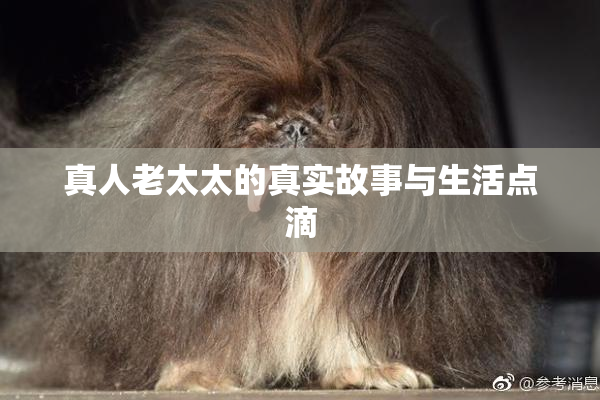 真人老太太的真实故事与生活点滴