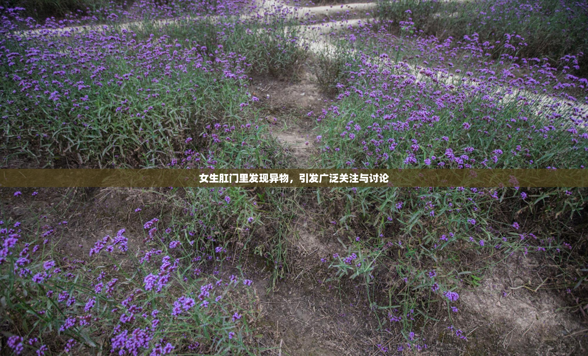 女生肛门里发现异物，引发广泛关注与讨论