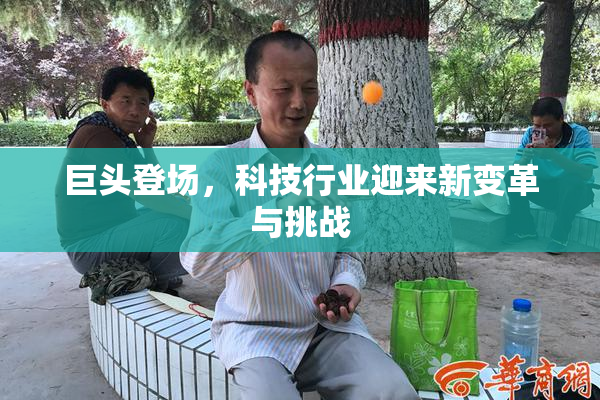 巨头登场，科技行业迎来新变革与挑战