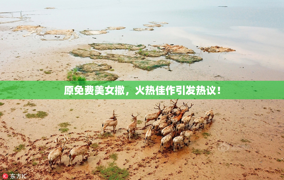 原免费美女撒，火热佳作引发热议！