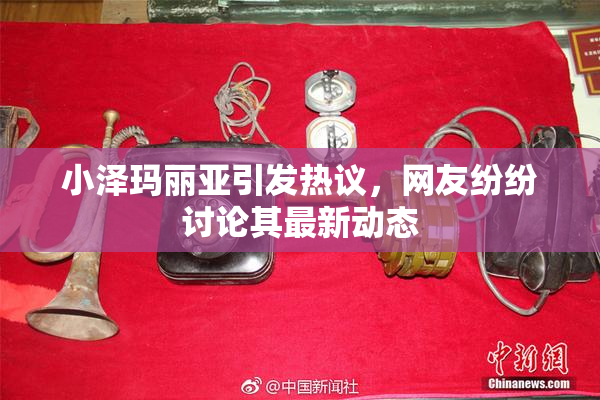 小泽玛丽亚引发热议，网友纷纷讨论其最新动态