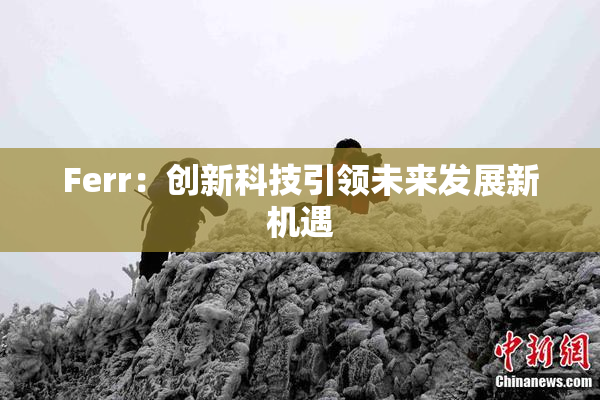 Ferr：创新科技引领未来发展新机遇