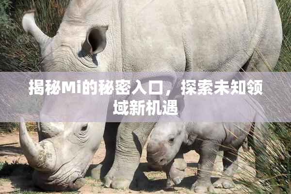 揭秘Mi的秘密入口，探索未知领域新机遇