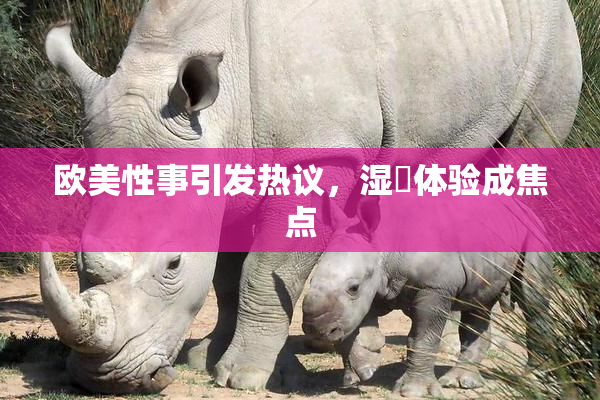 欧美性事引发热议，湿潤体验成焦点