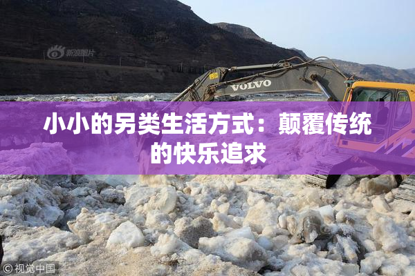 小小的另类生活方式：颠覆传统的快乐追求