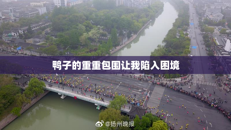 鸭子的重重包围让我陷入困境