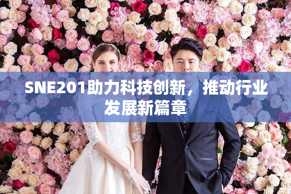 SNE201助力科技创新，推动行业发展新篇章