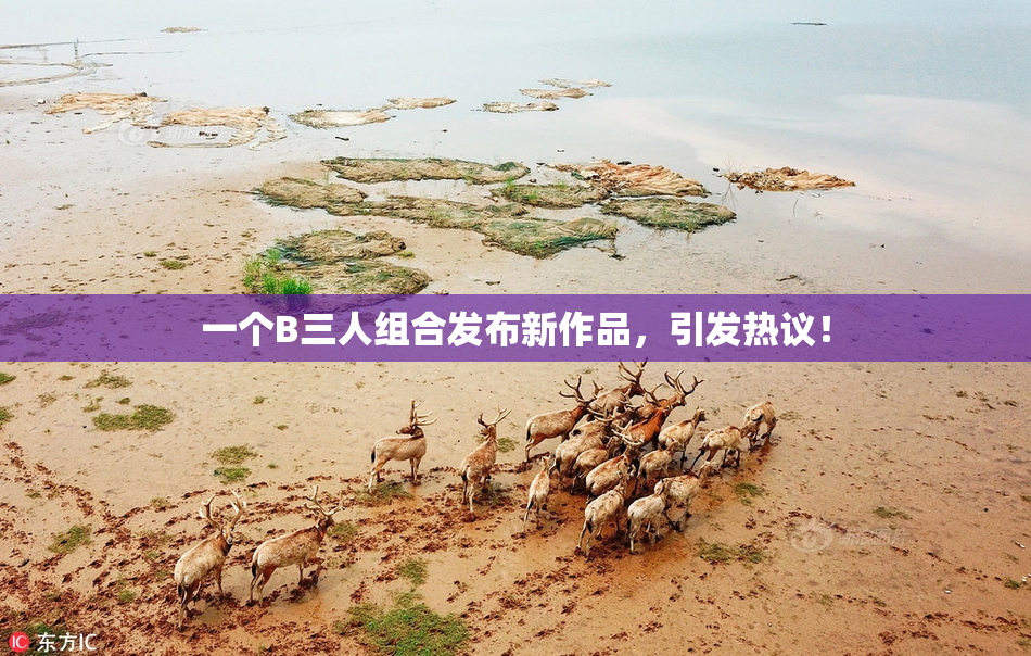 一个B三人组合发布新作品，引发热议！