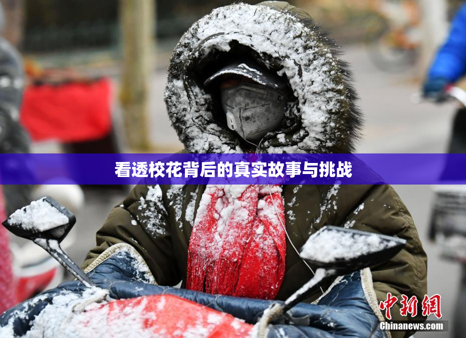看透校花背后的真实故事与挑战