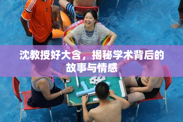 沈教授好大含，揭秘学术背后的故事与情感