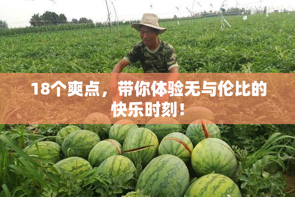 18个爽点，带你体验无与伦比的快乐时刻！