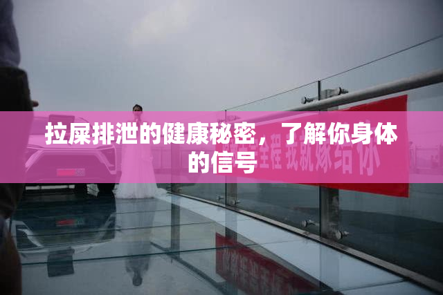 拉屎排泄的健康秘密，了解你身体的信号