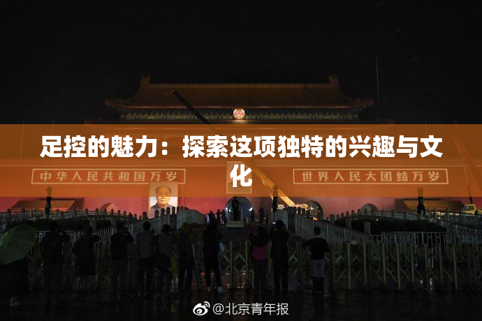 足控的魅力：探索这项独特的兴趣与文化