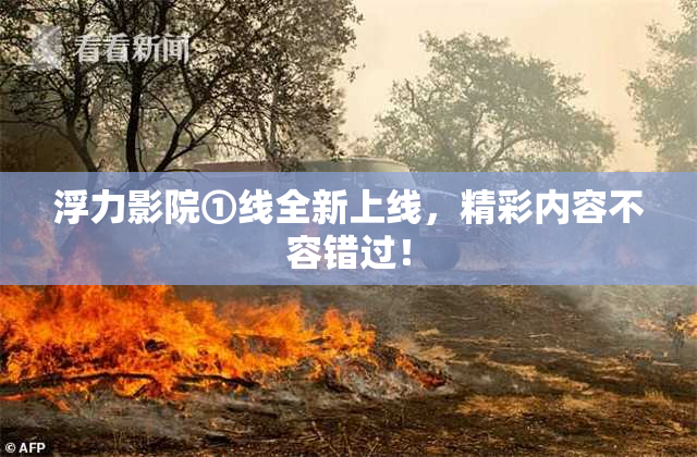 浮力影院①线全新上线，精彩内容不容错过！