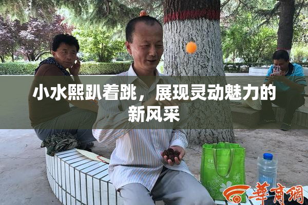 小水熙趴着跳，展现灵动魅力的新风采