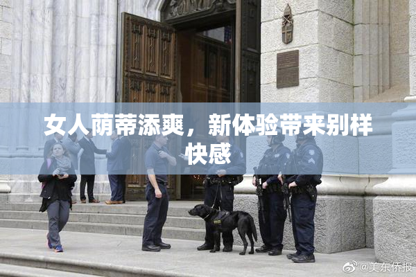 女人荫蒂添爽，新体验带来别样快感