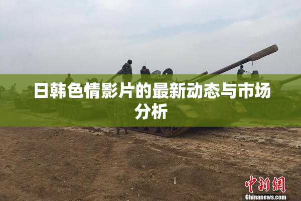 日韩色情影片的最新动态与市场分析