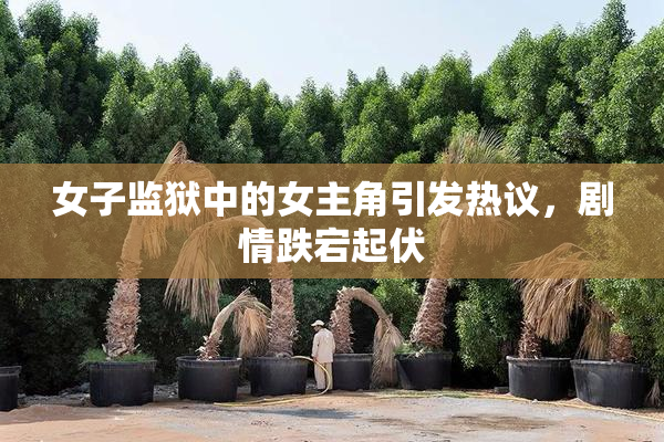 女子监狱中的女主角引发热议，剧情跌宕起伏