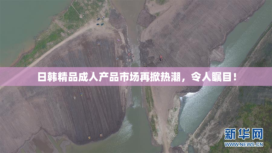 日韩精品成人产品市场再掀热潮，令人瞩目！