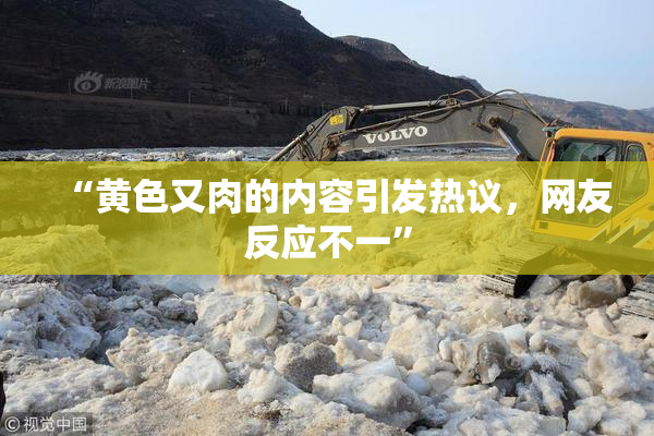 “黄色又肉的内容引发热议，网友反应不一”
