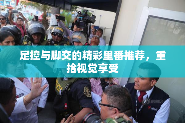 足控与脚交的精彩里番推荐，重拾视觉享受