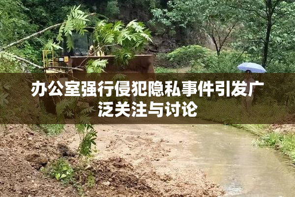 办公室强行侵犯隐私事件引发广泛关注与讨论