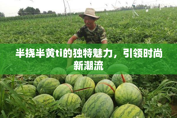 半挠半黄ti的独特魅力，引领时尚新潮流