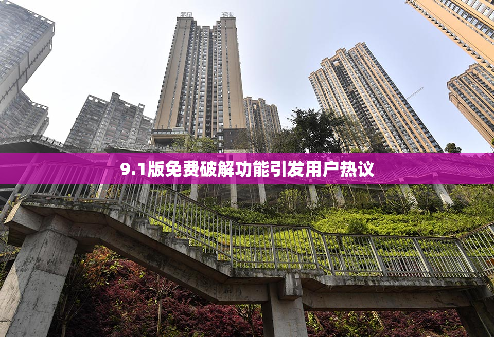 9.1版免费破解功能引发用户热议
