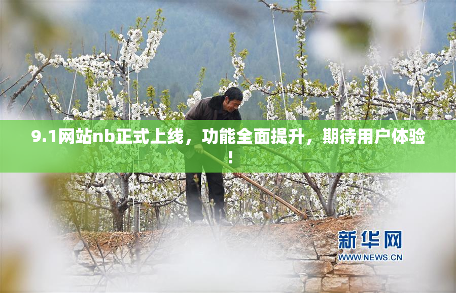 9.1网站nb正式上线，功能全面提升，期待用户体验！