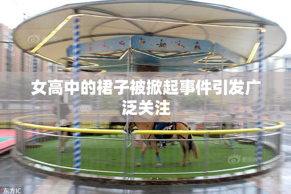 女高中的裙子被掀起事件引发广泛关注
