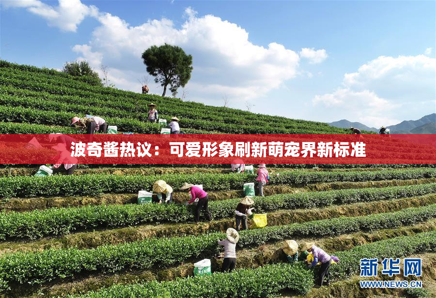 波奇酱热议：可爱形象刷新萌宠界新标准