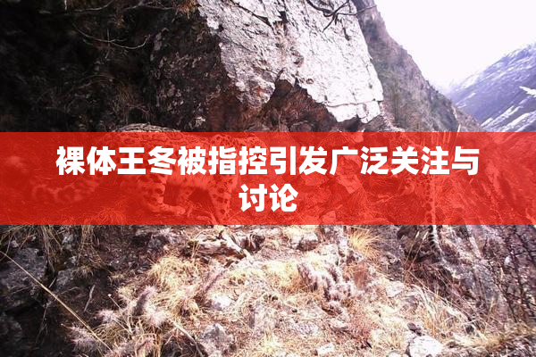 裸体王冬被指控引发广泛关注与讨论