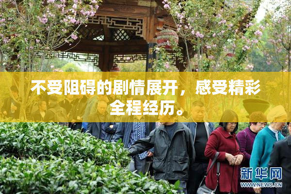 不受阻碍的剧情展开，感受精彩全程经历。