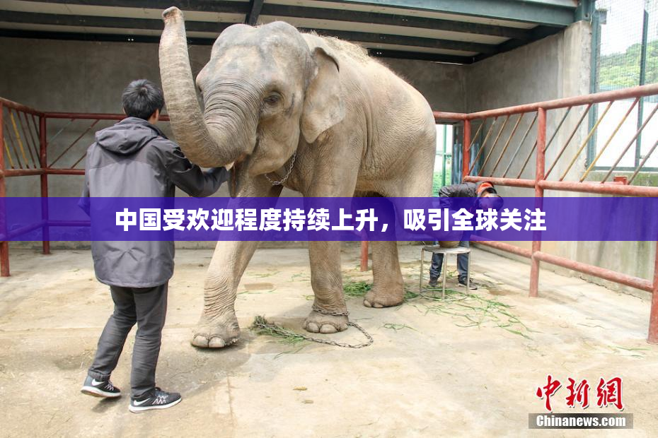 中国受欢迎程度持续上升，吸引全球关注