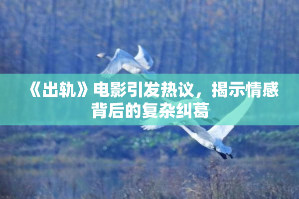 《出轨》电影引发热议，揭示情感背后的复杂纠葛