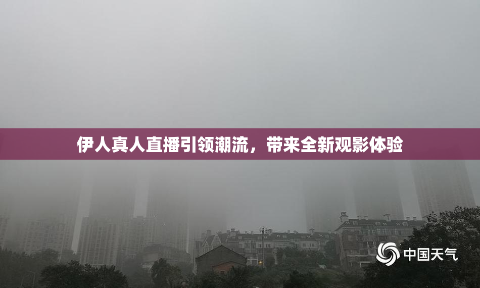 伊人真人直播引领潮流，带来全新观影体验