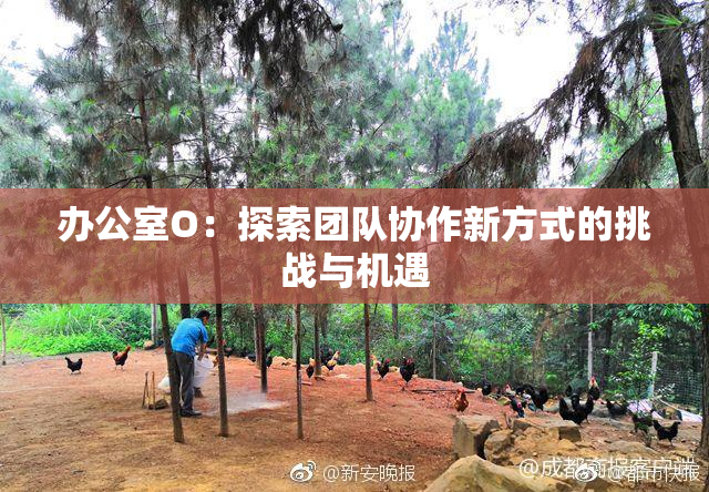 办公室O：探索团队协作新方式的挑战与机遇
