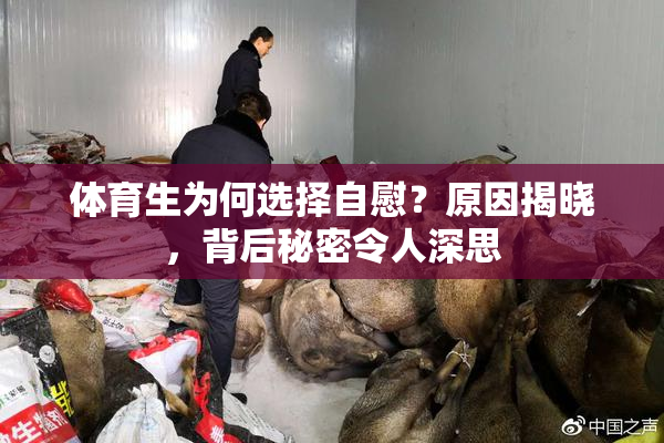 体育生为何选择自慰？原因揭晓，背后秘密令人深思