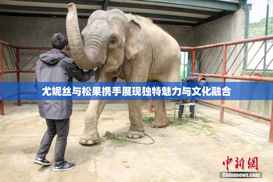 尤妮丝与松果携手展现独特魅力与文化融合