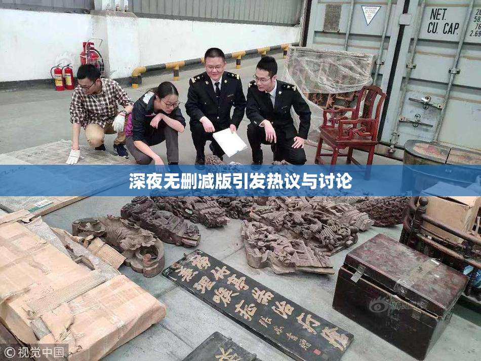 深夜无删减版引发热议与讨论