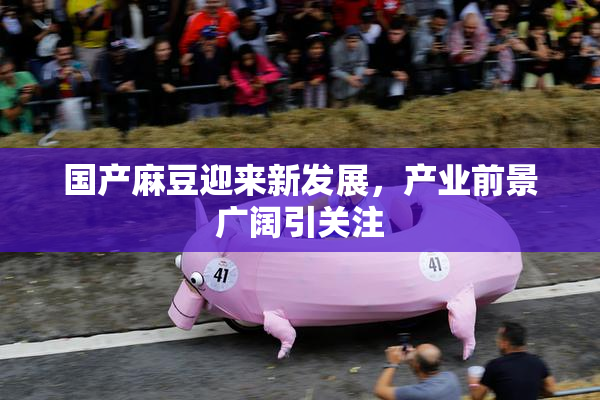 国产麻豆迎来新发展，产业前景广阔引关注