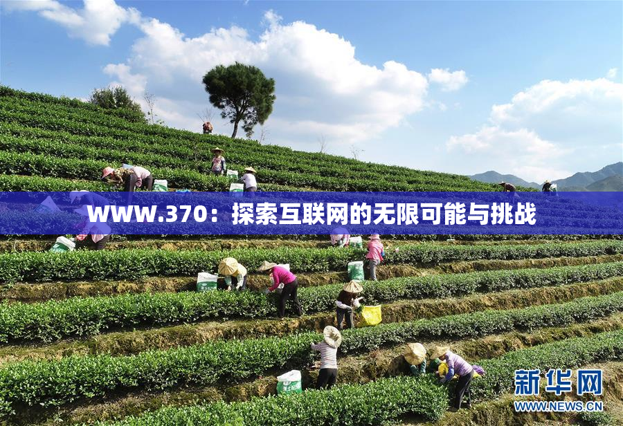 WWW.370：探索互联网的无限可能与挑战